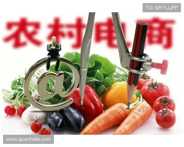 fg电游的最新版本更新内容详解以及未来发展趋势分析