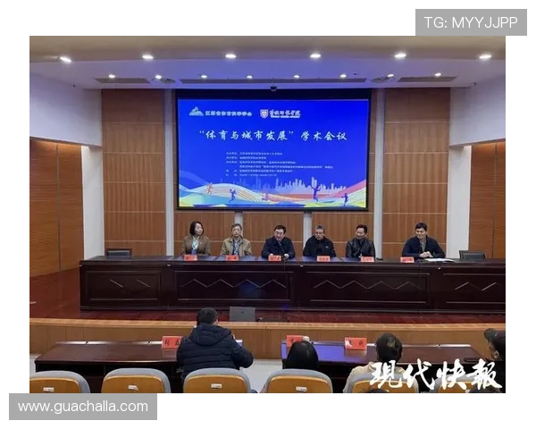南非世界杯主办城市的文化特色与体育氛围对赛事体验的影响深度分析
